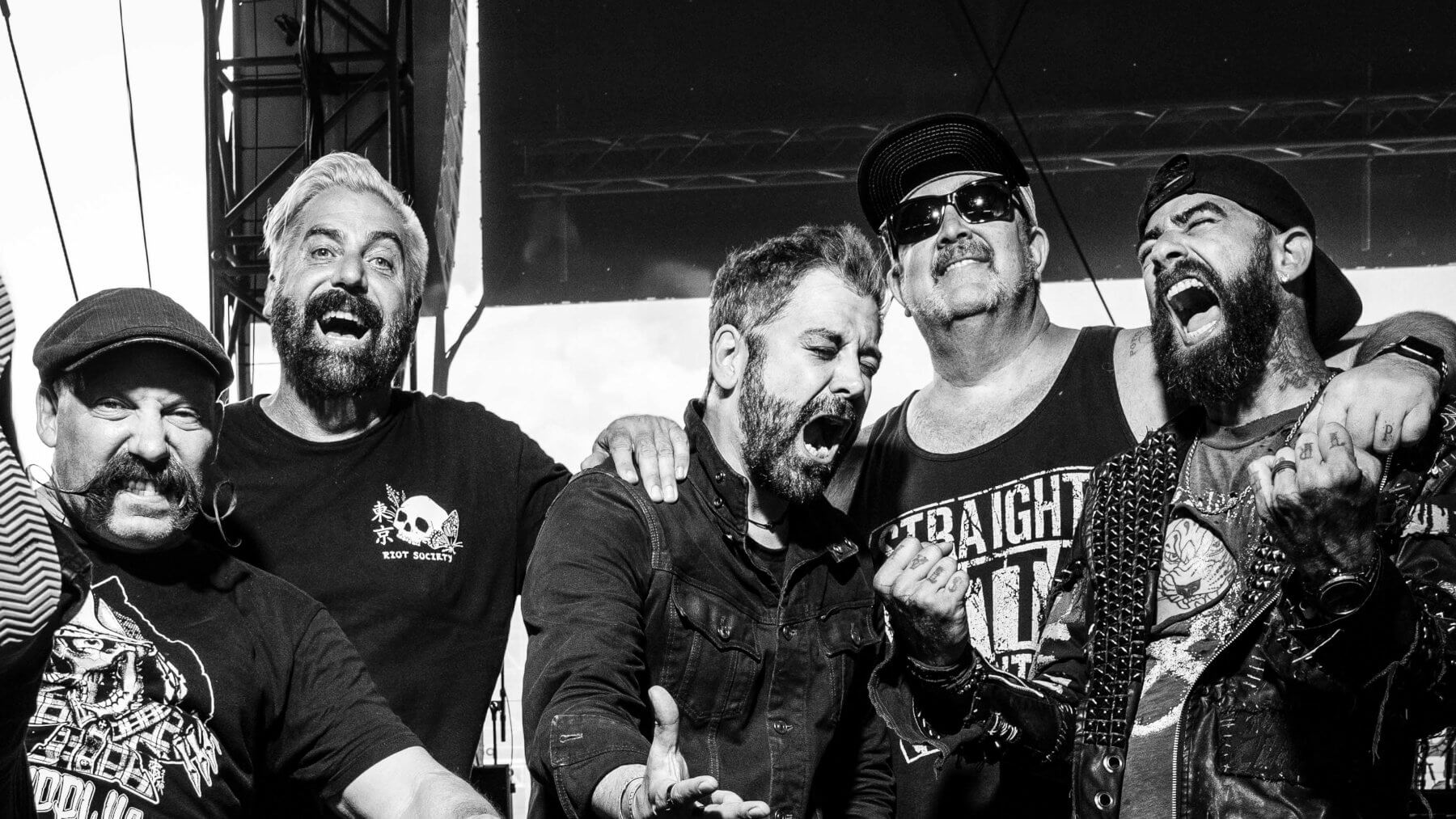 Zebrahead