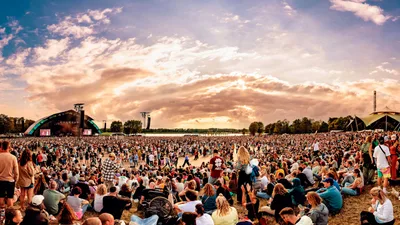 Down The Rabbit Hole