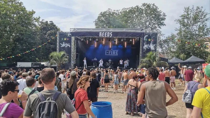 Reeds Festival
