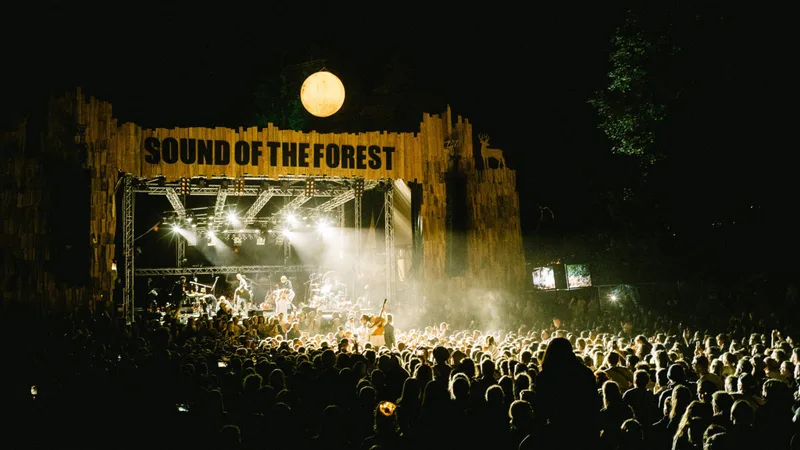 Sound Of The Forest